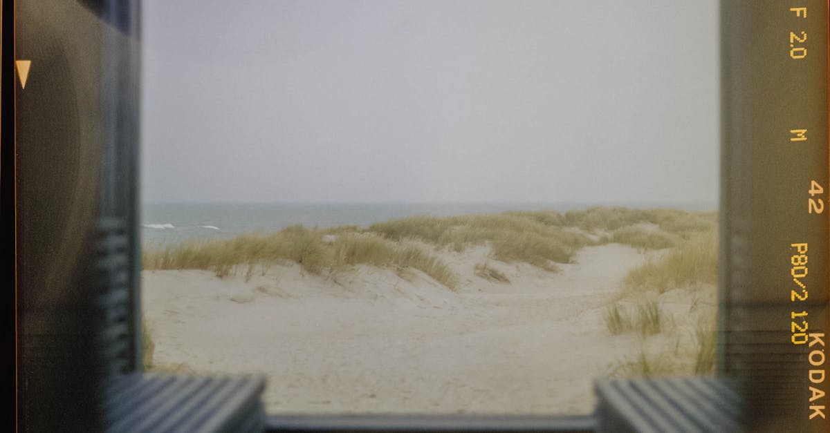 découvrez tout ce qu'il faut savoir sur la tva (taxe sur la valeur ajoutée) : son fonctionnement, ses taux, et son impact sur les entreprises et les consommateurs en france.