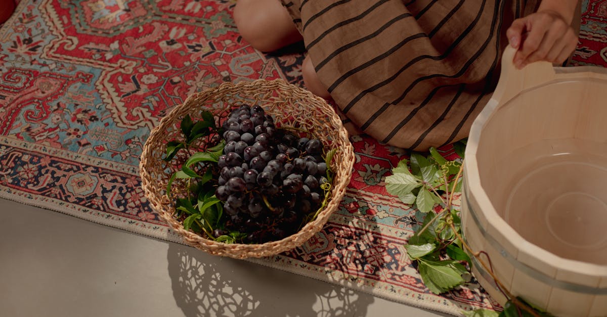 découvrez tout ce qu'il faut savoir sur la tva (taxe sur la valeur ajoutée) : son fonctionnement, son taux, et son impact sur les entreprises. informez-vous pour mieux gérer vos finances et respecter la législation fiscale.