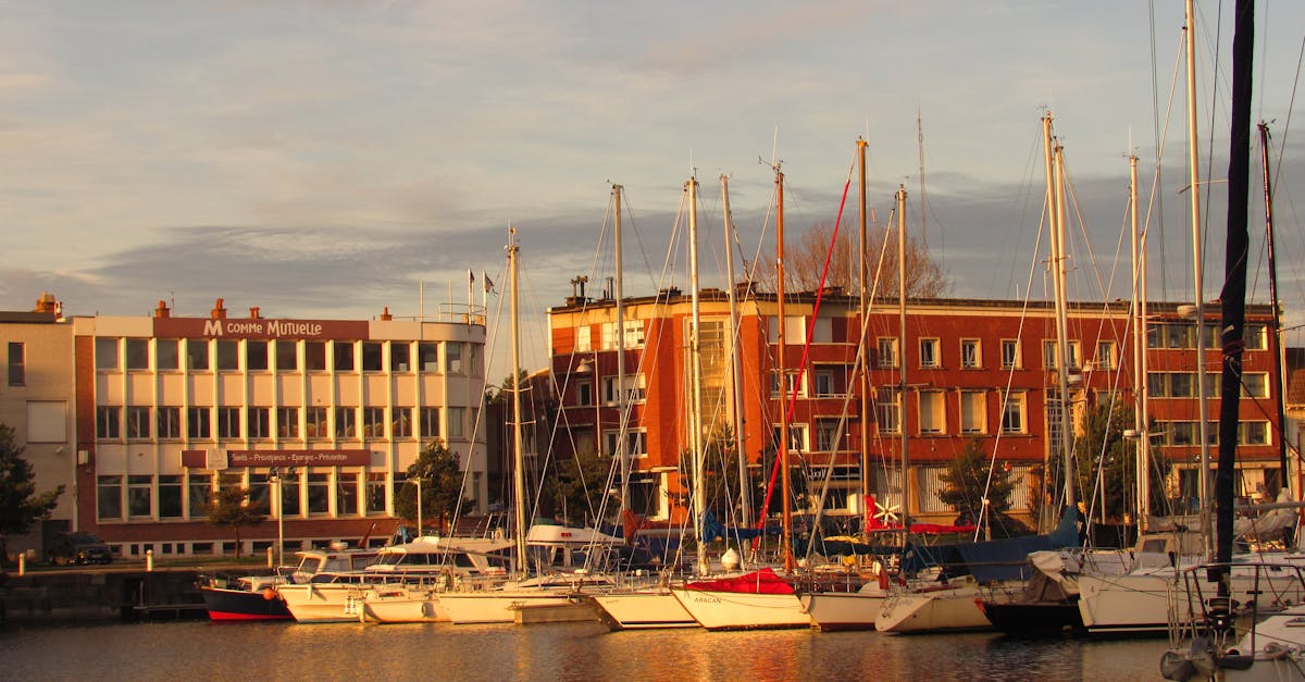 découvrez maaf mutuelle, votre partenaire santé qui vous accompagne avec des solutions adaptées à vos besoins. profitez d'une couverture complète et d'un service client de qualité pour garantir votre bien-être et celui de votre famille.