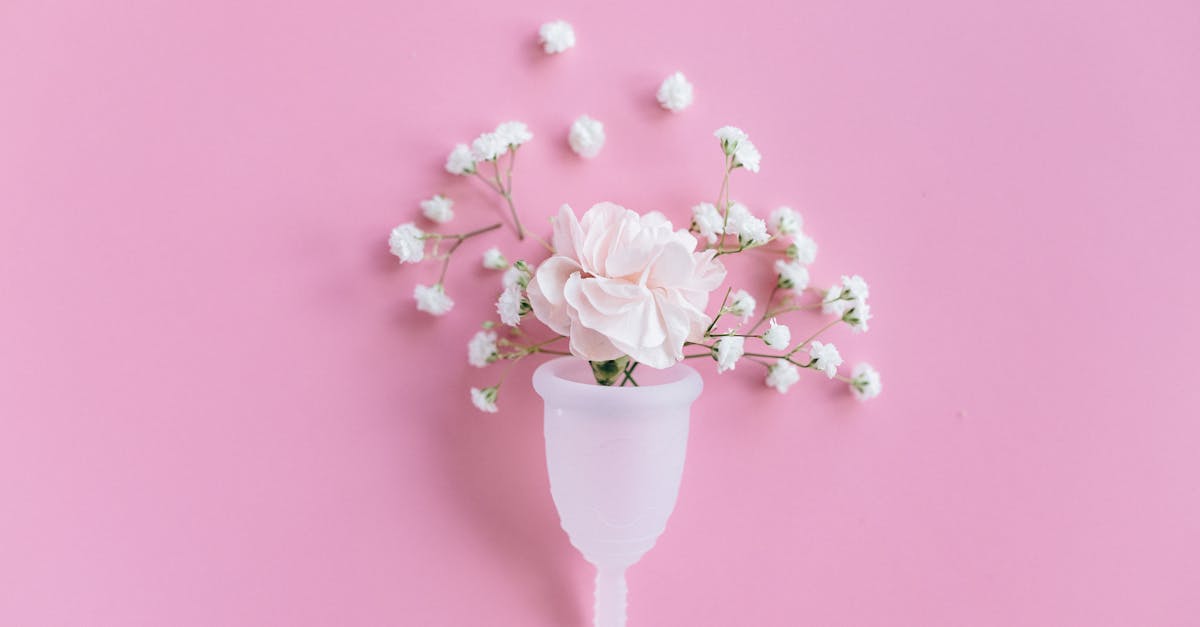 découvrez notre comparateur d'assurances responsabilité civile pour choisir la meilleure couverture. comparez les offres, tarifs et garanties en quelques clics et protégez-vous efficacement.