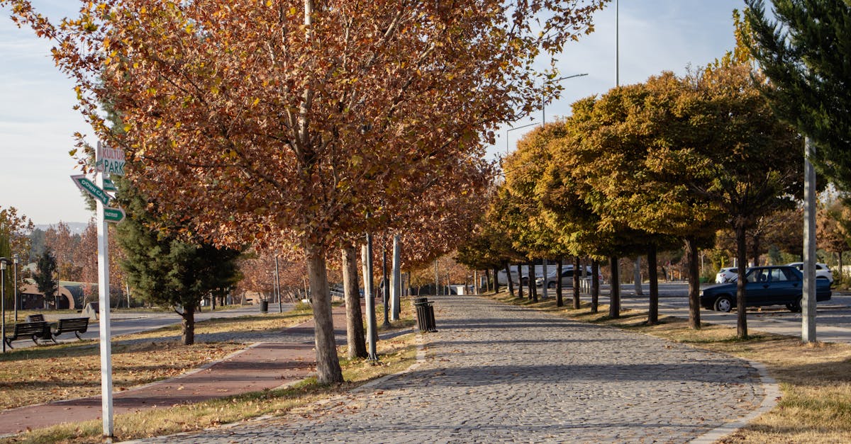 découvrez tout ce que vous devez savoir sur le statut d'auto-entrepreneur : avantages, démarches administratives, conseils pratiques et témoignages. lancez votre activité en toute sérénité et maximisez vos chances de réussite dans l'entrepreneuriat !