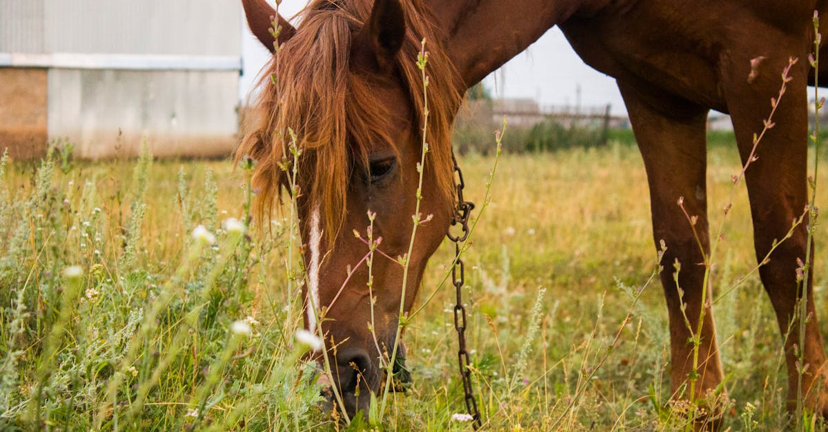 découvrez la maif, votre partenaire d'assurance engagé pour une protection adaptée à vos besoins. profitez de nos offres en assurance auto, habitation et santé, tout en bénéficiant d'un service client fiable et responsable. rejoignez une mutuelle qui place l'humain au cœur de son action.