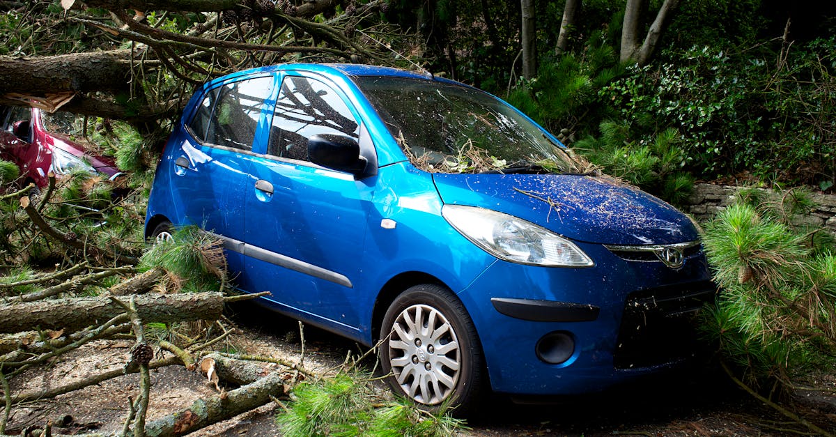 découvrez nos solutions d'assurance automobile adaptées à vos besoins. protégez votre véhicule et bénéficiez d'une couverture complète avec des tarifs compétitifs. comparez dès maintenant pour trouver l'offre qui vous convient le mieux.