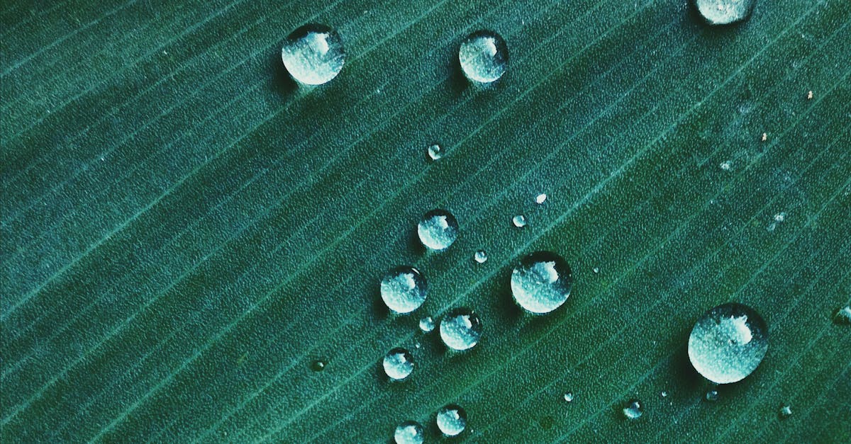 découvrez le concept de micro-entreprise, une solution flexible et accessible pour les entrepreneurs souhaitant lancer leur activité sans lourdes contraintes administratives. explorez les avantages, les démarches et les conseils pratiques pour réussir dans le monde des petites entreprises.