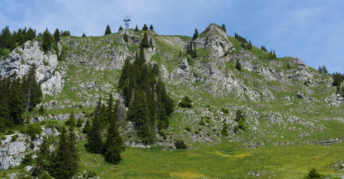 découvrez le statut d'auto-entrepreneur en france : simplifiez la création de votre entreprise, bénéficiez de démarches administratives allégées et explorez les opportunités de développement à votre portée. profitez d'une liberté d'entreprendre tout en maîtrisant vos charges !