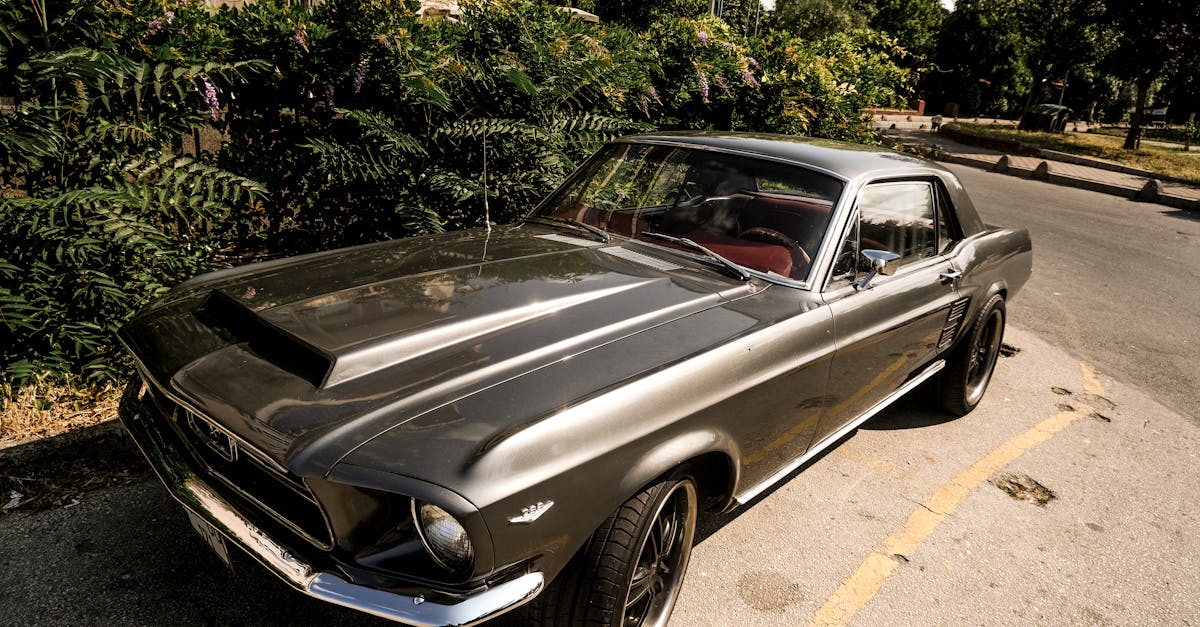 découvrez les avantages et les étapes essentielles pour devenir auto-entrepreneur en france. profitez d'une liberté professionnelle tout en bénéficiant d'un régime simplifié pour développer votre activité. obtenez des conseils pratiques et des ressources pour réussir dans l'entrepreneuriat sans formalités compliquées.