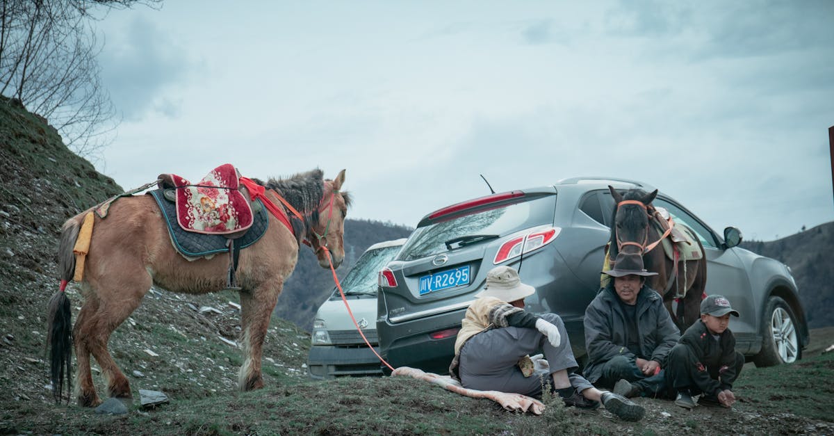 découvrez tout ce qu'il faut savoir sur le statut d'auto-entrepreneur : définition, avantages, démarches administratives et conseils pratiques pour réussir votre activité indépendante.