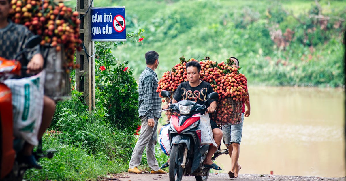 découvrez tout ce qu'il faut savoir sur les auto-entrepreneurs : conseils pratiques, démarches administratives, avantages fiscaux et success stories pour vous aider à réussir votre activité indépendante.