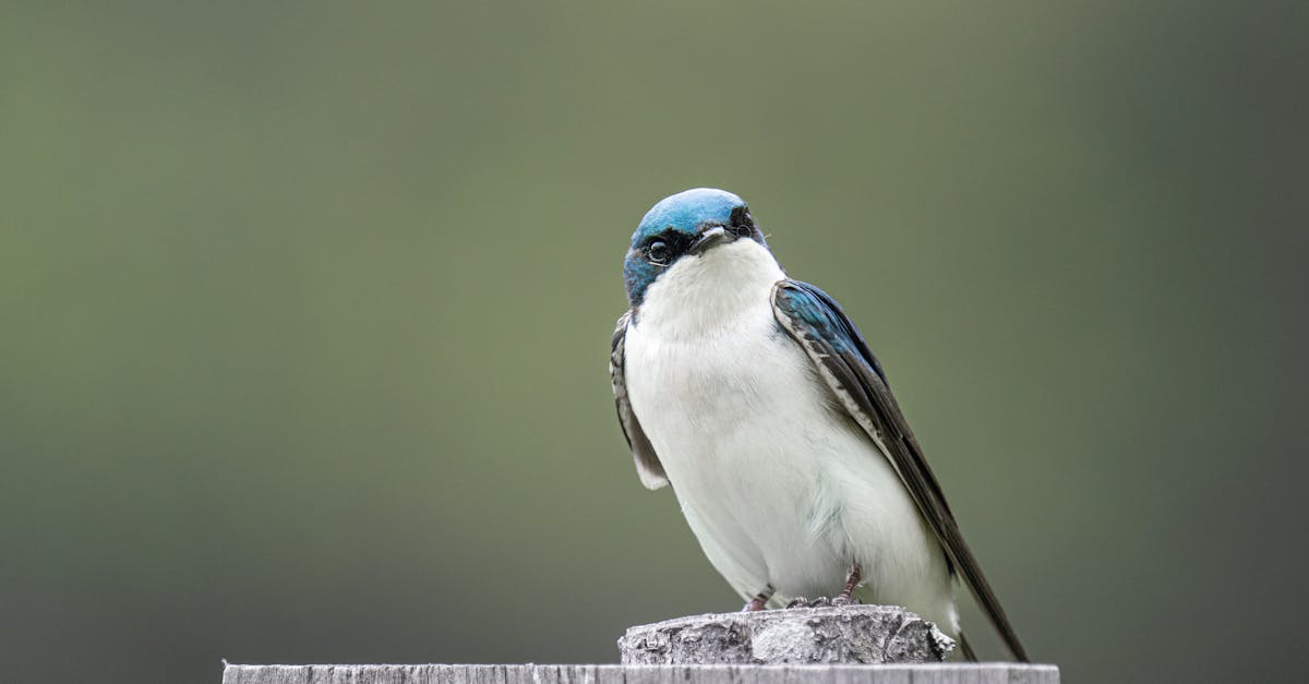 découvrez pôle emploi, votre partenaire incontournable pour la recherche d'emploi en france. profitez d'un soutien personnalisé, d'offres d'emploi variées et de conseils pour booster votre carrière. inscrivez-vous dès maintenant pour accéder aux ressources et services adaptés à vos besoins professionnels.