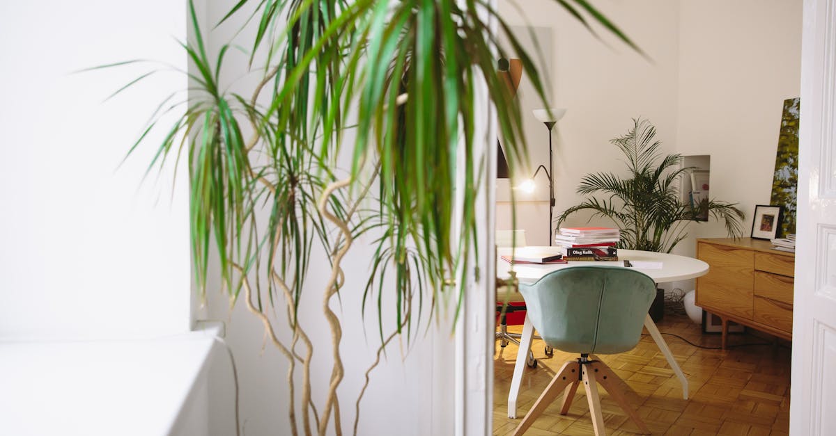 simplis : découvrez notre plateforme innovante qui simplifie votre quotidien grâce à des solutions pratiques et accessibles. optimisez votre temps et améliorez votre efficacité avec nos outils adaptés à vos besoins.