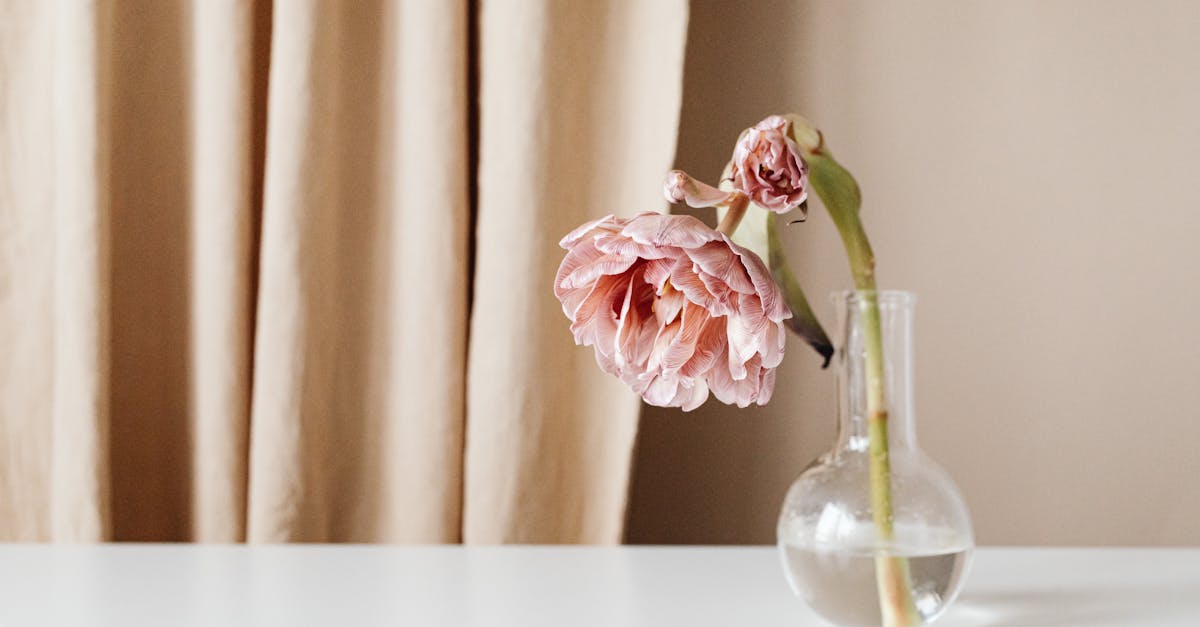 découvrez simplis, la solution idéale pour simplifier votre quotidien. optimisez votre temps et facilitez vos tâches grâce à des outils innovants et une interface intuitive.