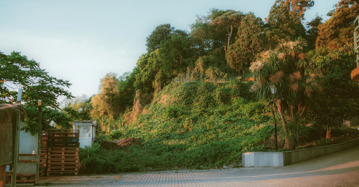 découvrez notre large choix d'amplificateurs audio, conçus pour offrir une qualité sonore exceptionnelle et une puissance optimale. parfaits pour les musiciens, audiophiles et passionnés de home cinéma, nos amplis allient performance et design moderne. profitez d'une expérience d'écoute inégalée !