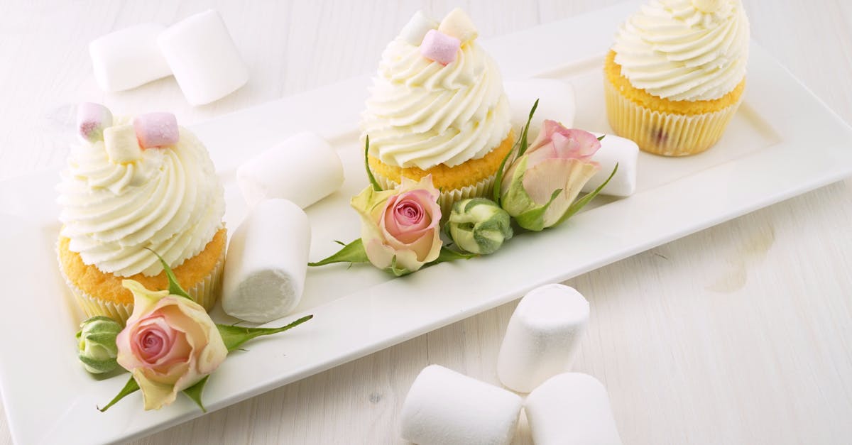 découvrez tout ce que vous devez savoir sur la couverture d'assurance : types, avantages, et comment bien choisir une police adaptée à vos besoins. protégez votre avenir avec des conseils d'experts.