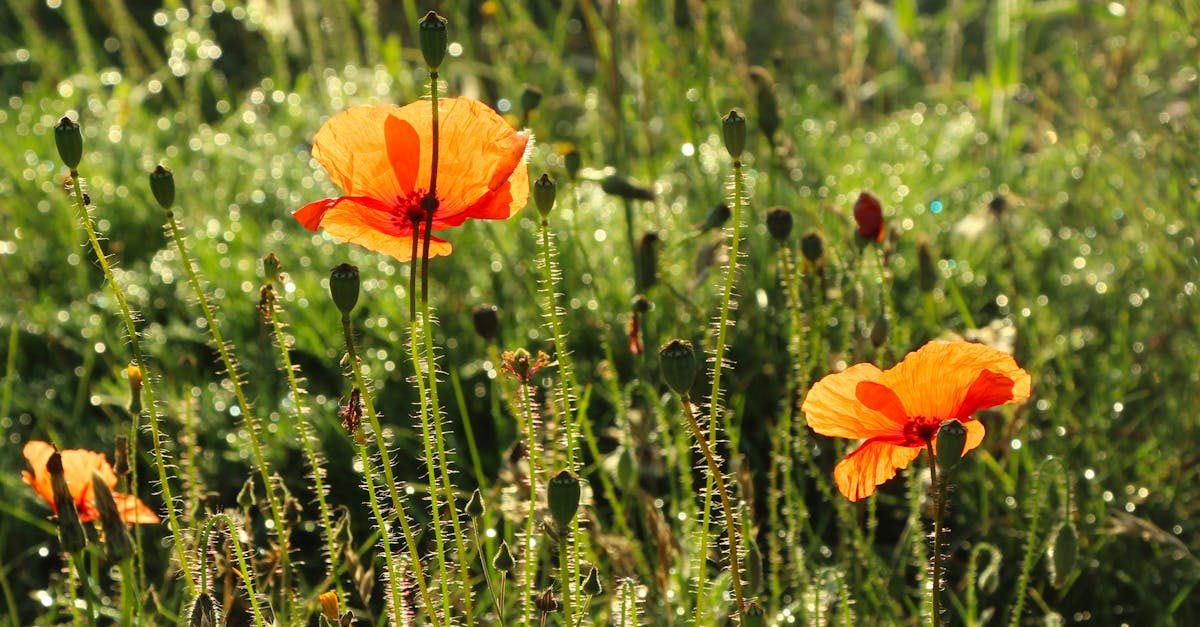 découvrez harmonie mutuelle, votre partenaire santé qui vous accompagne dans la protection de votre bien-être et celui de votre famille. profitez d'offres adaptées à vos besoins, d'un service client à l'écoute et d'un réseau de soins de qualité pour préserver votre santé au quotidien.