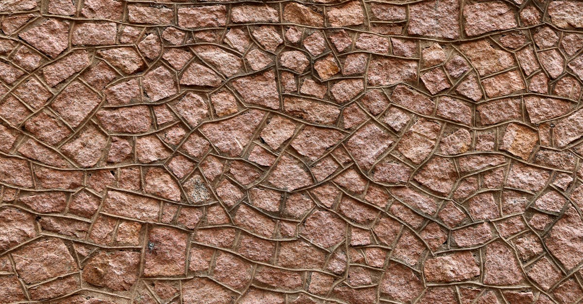 découvrez madelin, votre destination idéale pour des séjours mémorables, entre nature préservée et activités diversifiées. profitez d'une expérience unique alliant détente, découvertes et aventures en plein air.