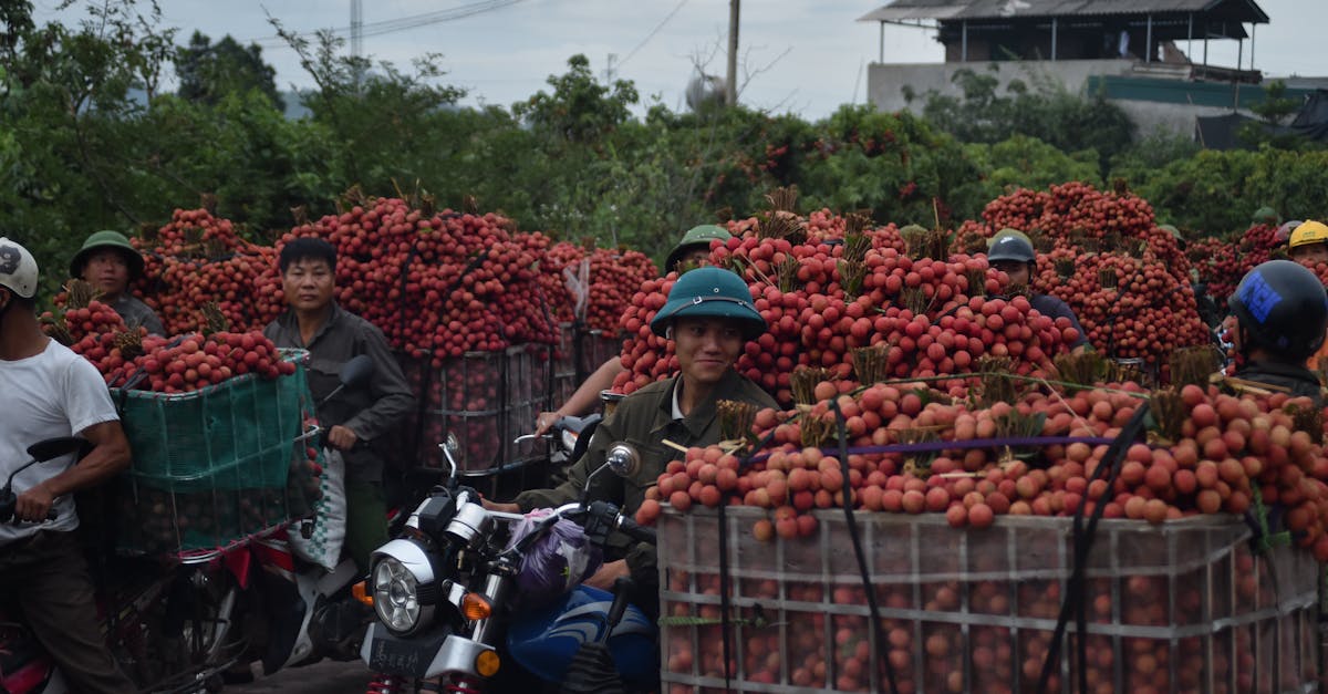 découvrez nos offres d'assurance moto adaptées à vos besoins. protégez votre véhicule avec une couverture complète et des tarifs compétitifs. obtenez un devis en ligne rapide et commencez à rouler sereinement.